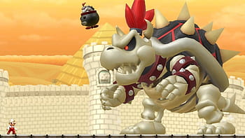 dry bowser face