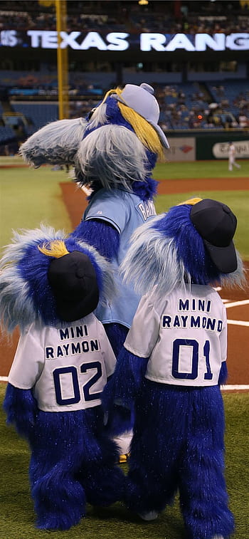 Matt Riddle unbelievably lays out Tampa Bay Rays' mascot during game:  photos