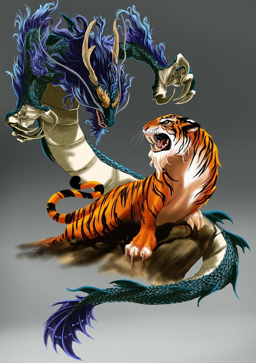 34 ideias de dragões e tigres, dragão e tigre Papel de parede de celular HD