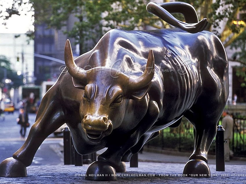 Stock Market Bull 106919 Backgrounds, nse HD wallpaper | Pxfuel
