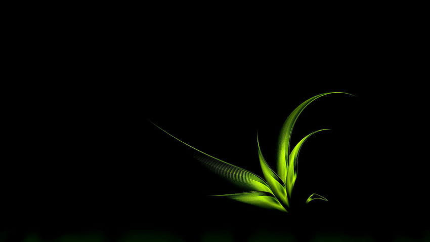 Primavera, hojas verdes que crecen, s florales, negro y verde fondo de pantalla