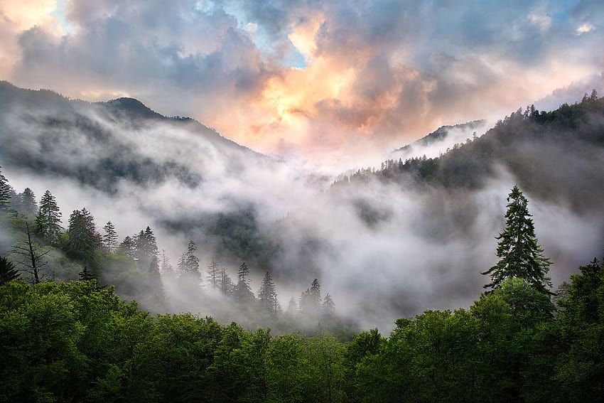 Os 3 melhores Parques Nacionais Smoky Mountains em Hip papel de parede HD
