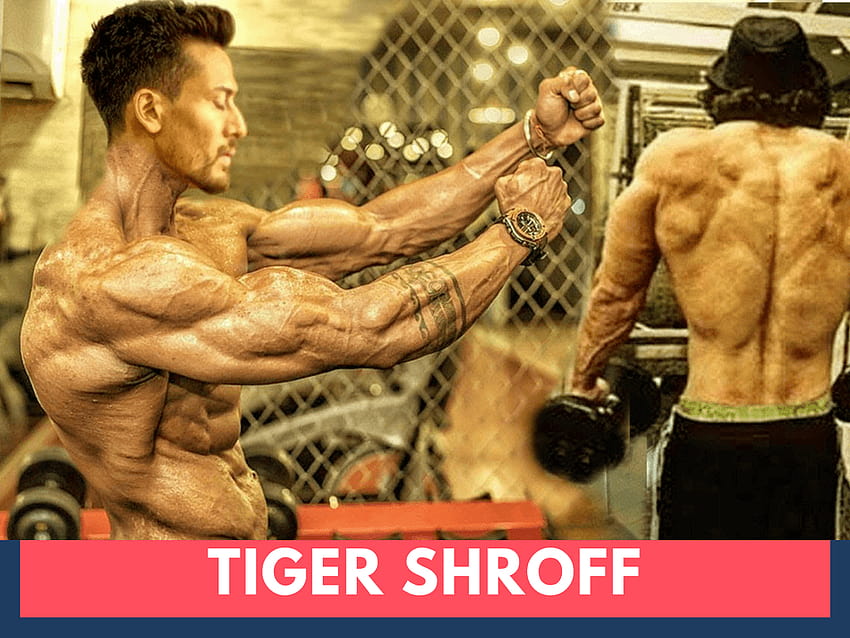 Top 4 SHOCKING Of Tiger Shroff Body In Baaghi 2 Movie HD wallpaper
