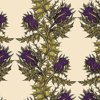 Thistle Wallpaper  Cole  Sons  Gustavian