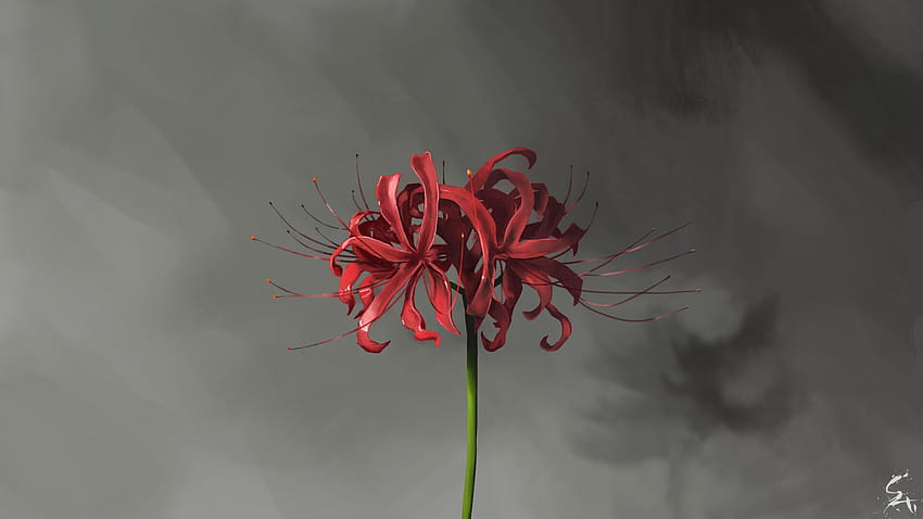 2 Anime Red Spider Lily, higanbana Wallpaper HD