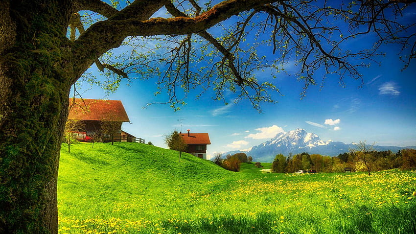 Find full gallery of Fresh Simple House, natural house HD wallpaper