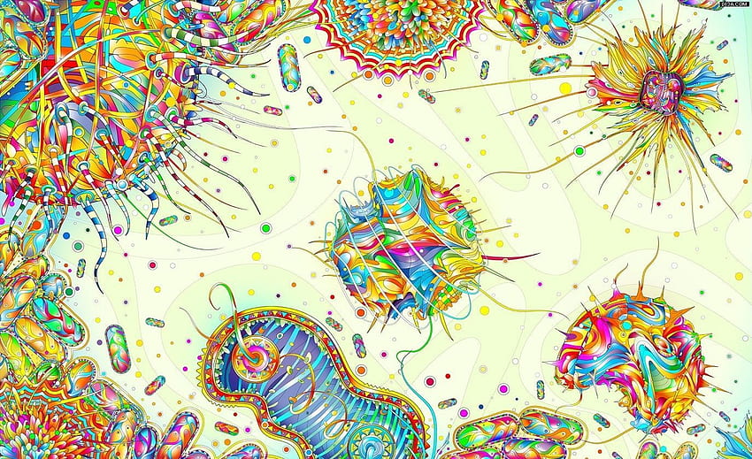 biology art HD wallpaper