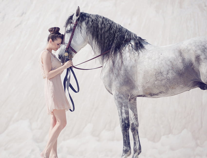 Gadis suasana hati kuda yang luar biasa cantik putih, wanita kuda Wallpaper HD