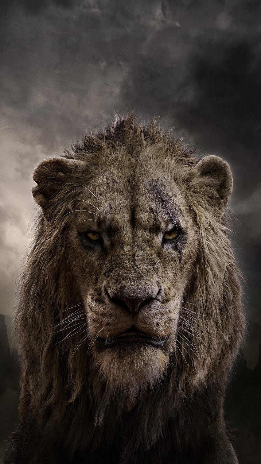 Il re leone, telefono cicatrice disney Sfondo del telefono HD