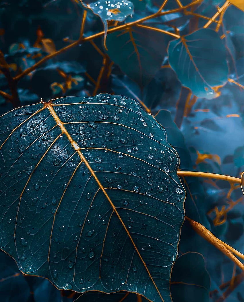 Herbstzeit blaue elegante Blätter, mobile Grafik HD-Handy-Hintergrundbild