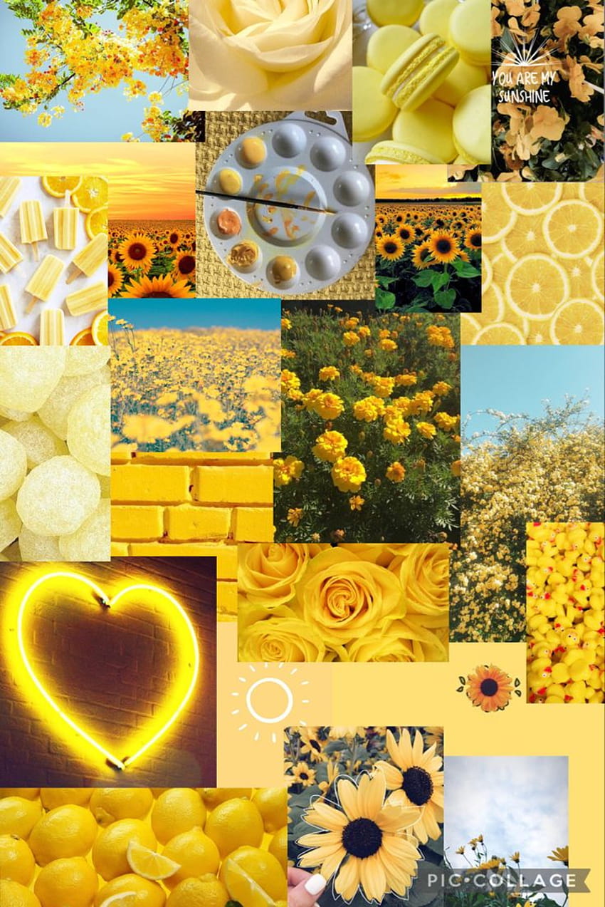 ネオン イエローの審美的なコラージュ、黄色の春のコラージュ HD電話の壁紙