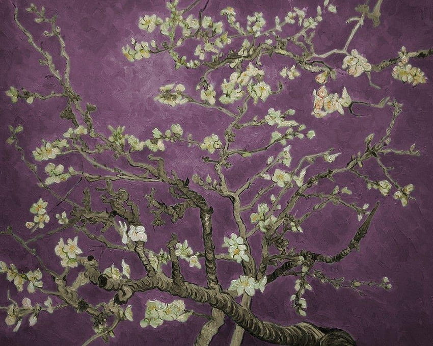 Mandorlo in fiore Van Gogh, fiore di van gogh Sfondo HD