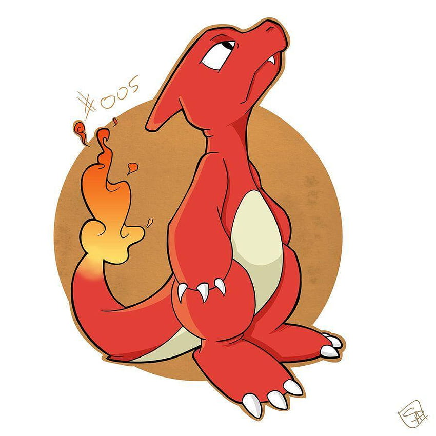 Charmander Evolutions by ShupaMikey | Charmander evolution, Pokemon  rayquaza, Pokemon firered