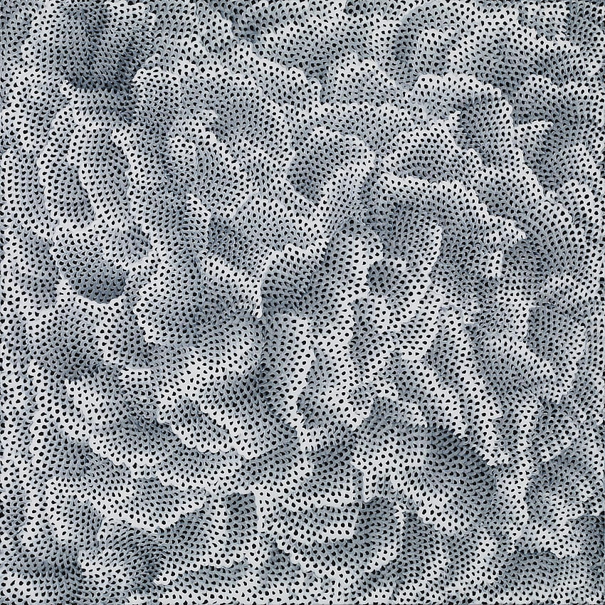 Yayoi Kusama – White Infinity Nets HD phone wallpaper