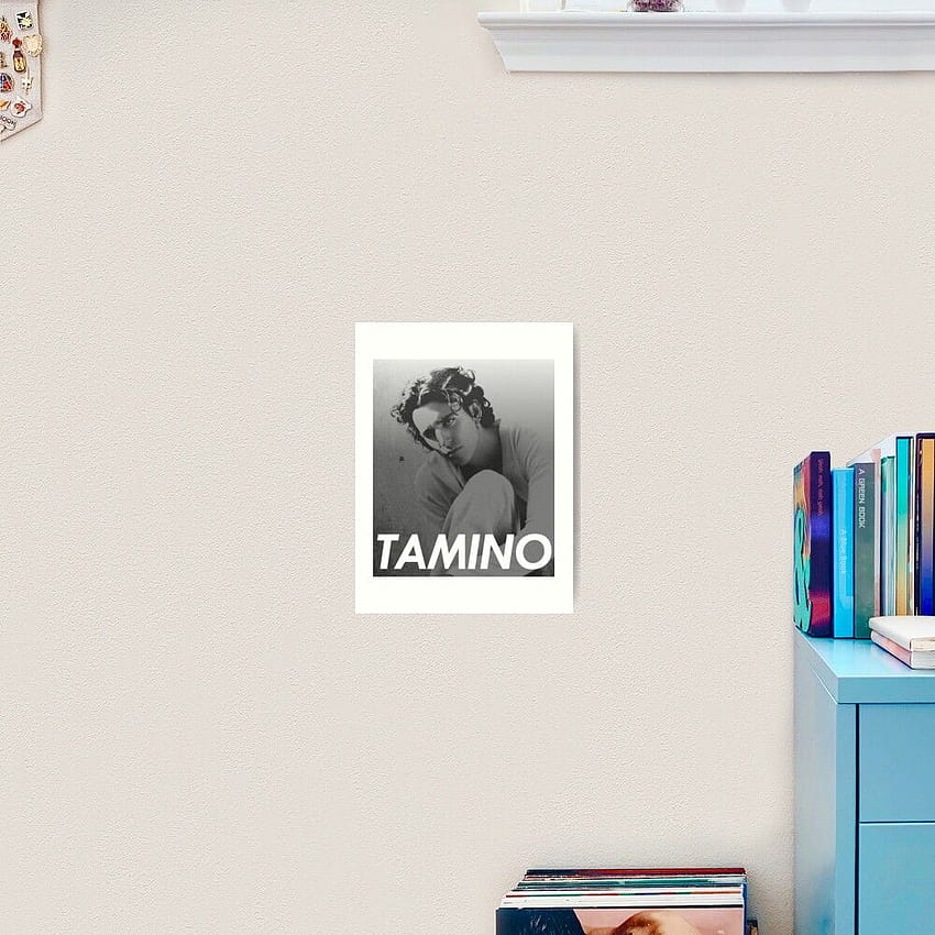 TAMINO HD phone wallpaper
