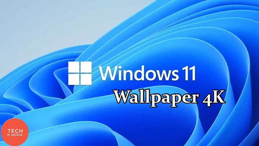 Windows 11 HD wallpaper | Pxfuel