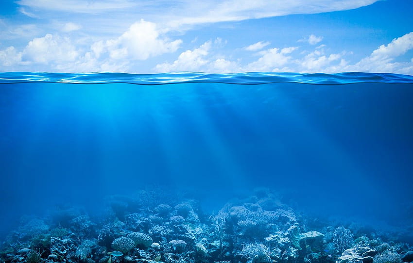 sea, the ocean, underwater ...goodfon, underwater world HD wallpaper