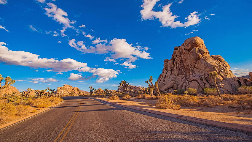 砂漠の道 ジョシュア ツリー国立公園は保護区で、長い砂漠の道 高画質の壁紙
