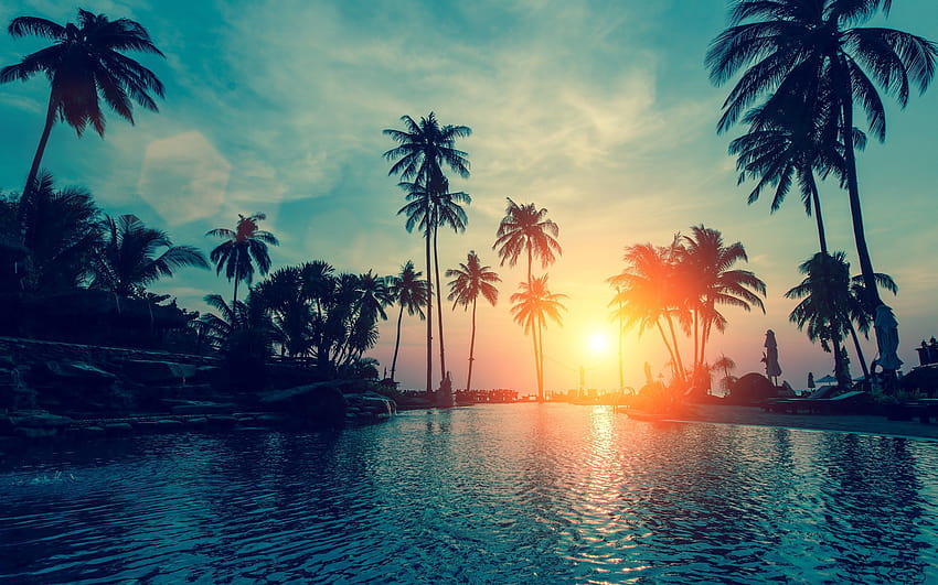 tropics, resort, sunset, summer, swimming pool, sunset pool HD wallpaper