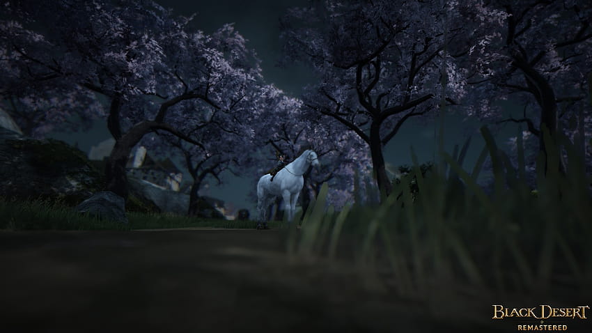 Captura de tela / Clipes] [Cherry Blossoms] Night Blossoms papel de parede HD