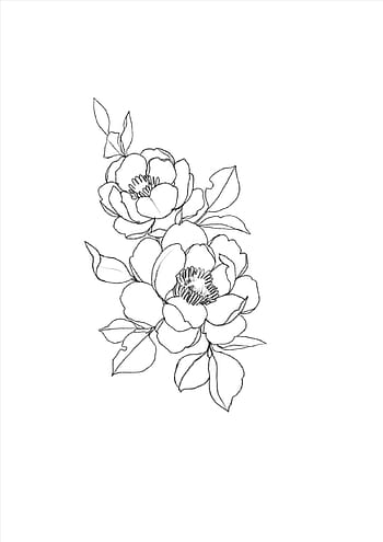 Minimalist Flower Drawing, minimalist flowers drawing HD phone ...