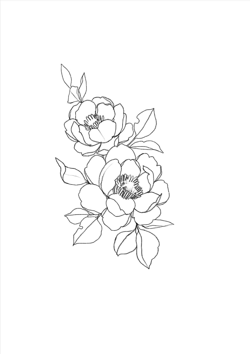 Minimalistyczny estetyczny kwiat clipart, estetyczne rysunki kwiatów Tapeta na telefon HD