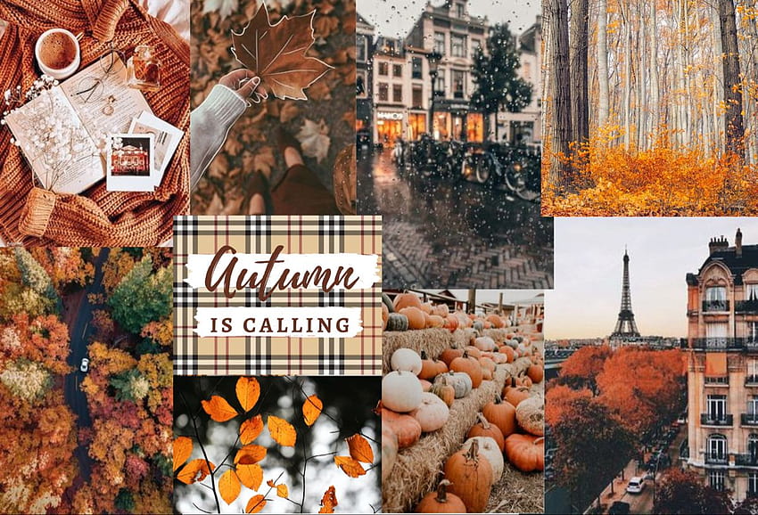 Autumn aesthetic pc HD wallpaper | Pxfuel