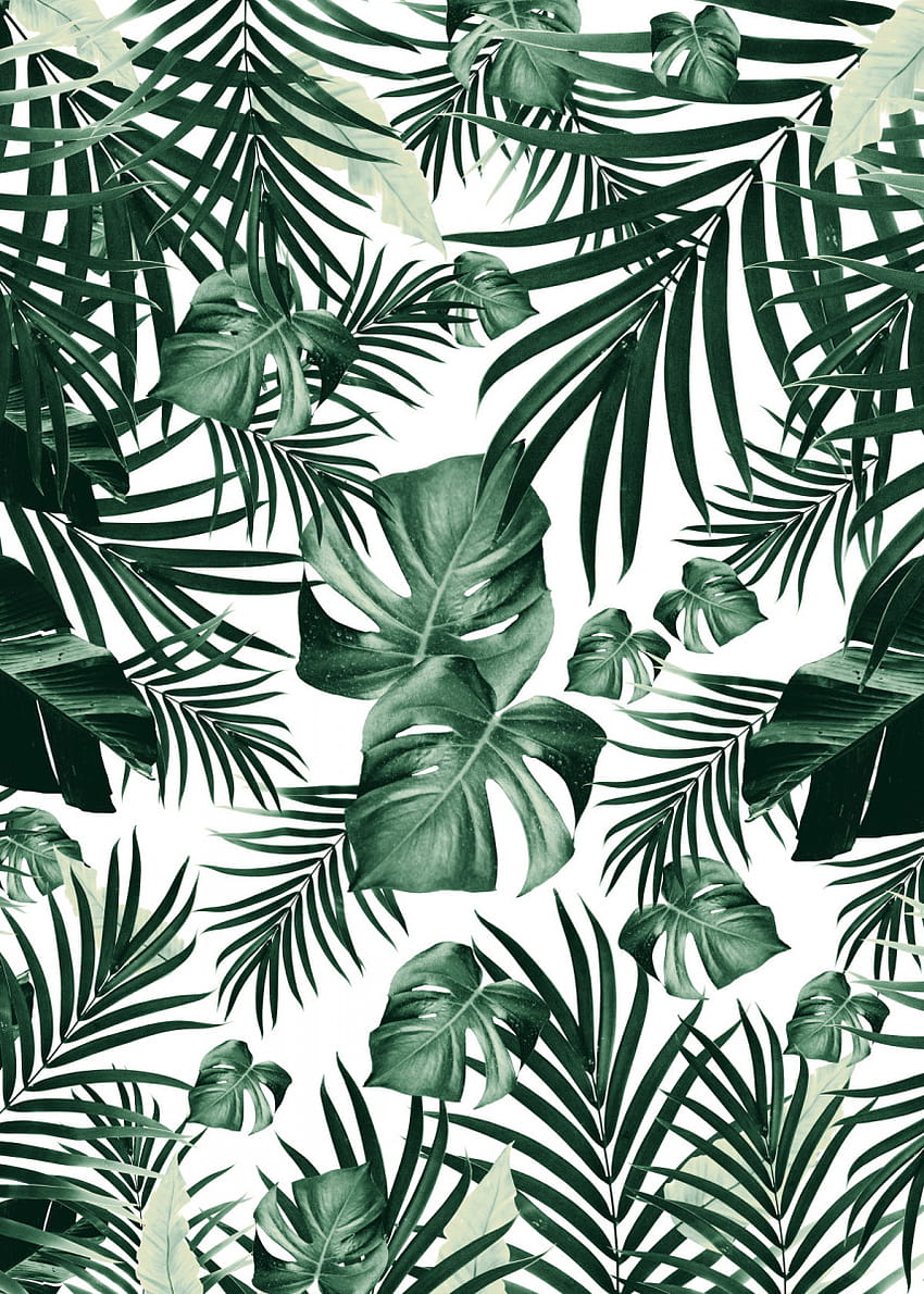Tropical Jungle Leaves 4a' 포스터 by Anita's & Bella's Art HD 전화 배경 화면