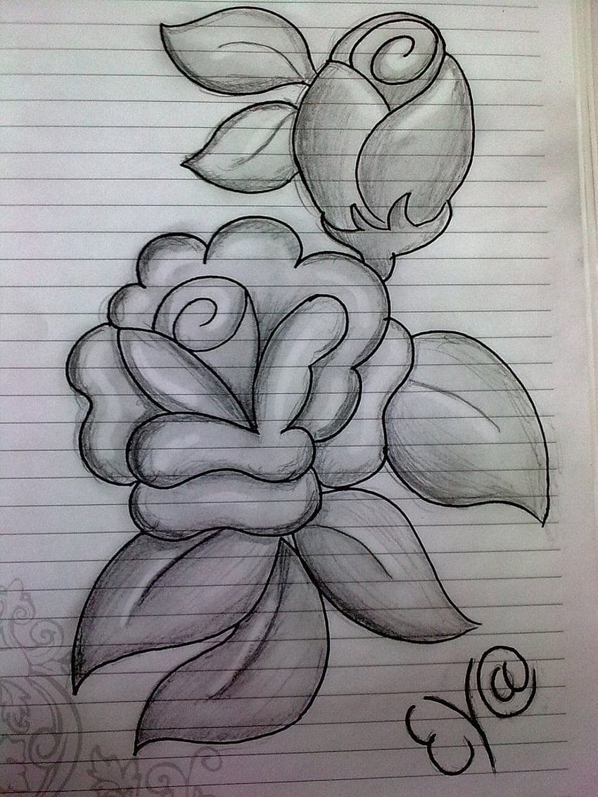 flower pencil sketches