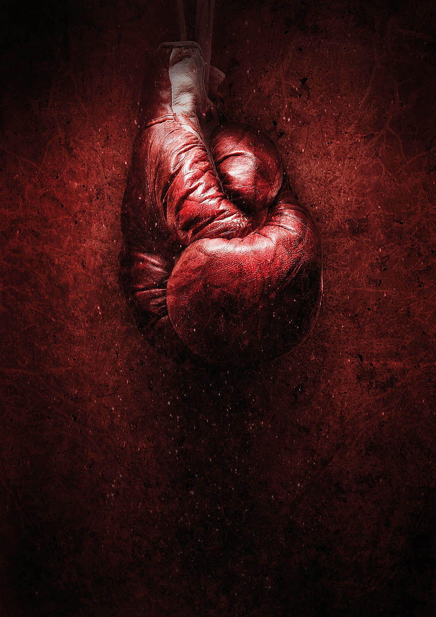 Boxing For Iphone, everlast HD phone wallpaper