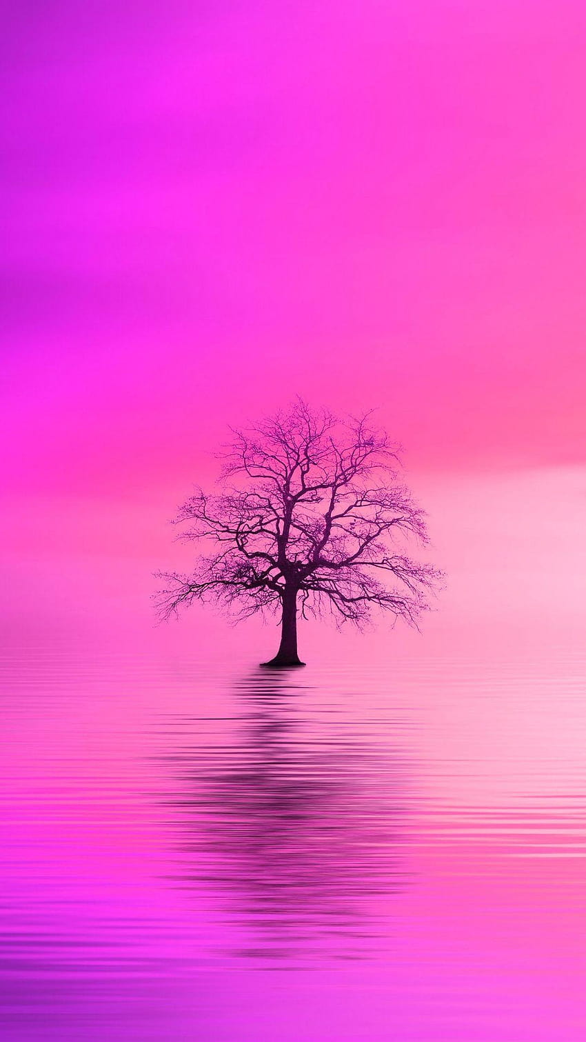 Minimal, pink dawn, tree, lake, digital art, pink tree by lake HD phone wallpaper