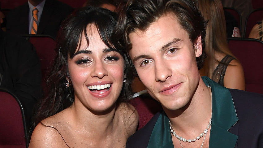 Shawn Mendes Has 'Lots Of Love Songs' For Camila Cabello In New Album ' Wonder' HD wallpaper