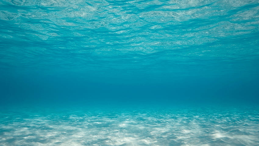 Unterwasser Ozeanboden 1280 x 720 HD-Hintergrundbild
