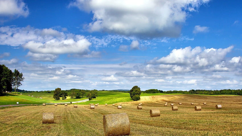 landscapes, nature, summer, hay, farm, sky ::, farm summer HD wallpaper