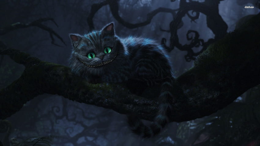 cheshire cat we're all mad here, were all mad here HD wallpaper