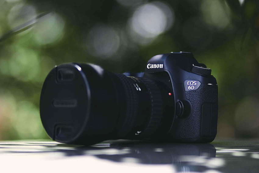 Canon 6D Mark III Fecha de lanzamiento, canon eos 6d mark ii fondo de pantalla
