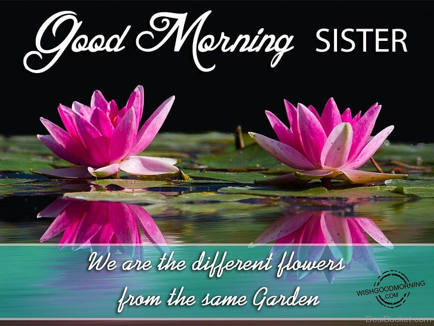 Good Morning Wishes For Sister , good morning sister wishes HD wallpaper