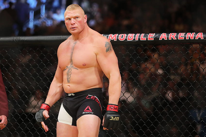 Brock Lesnar Fined, Suspended by Nevada Athletic Commission HD wallpaper
