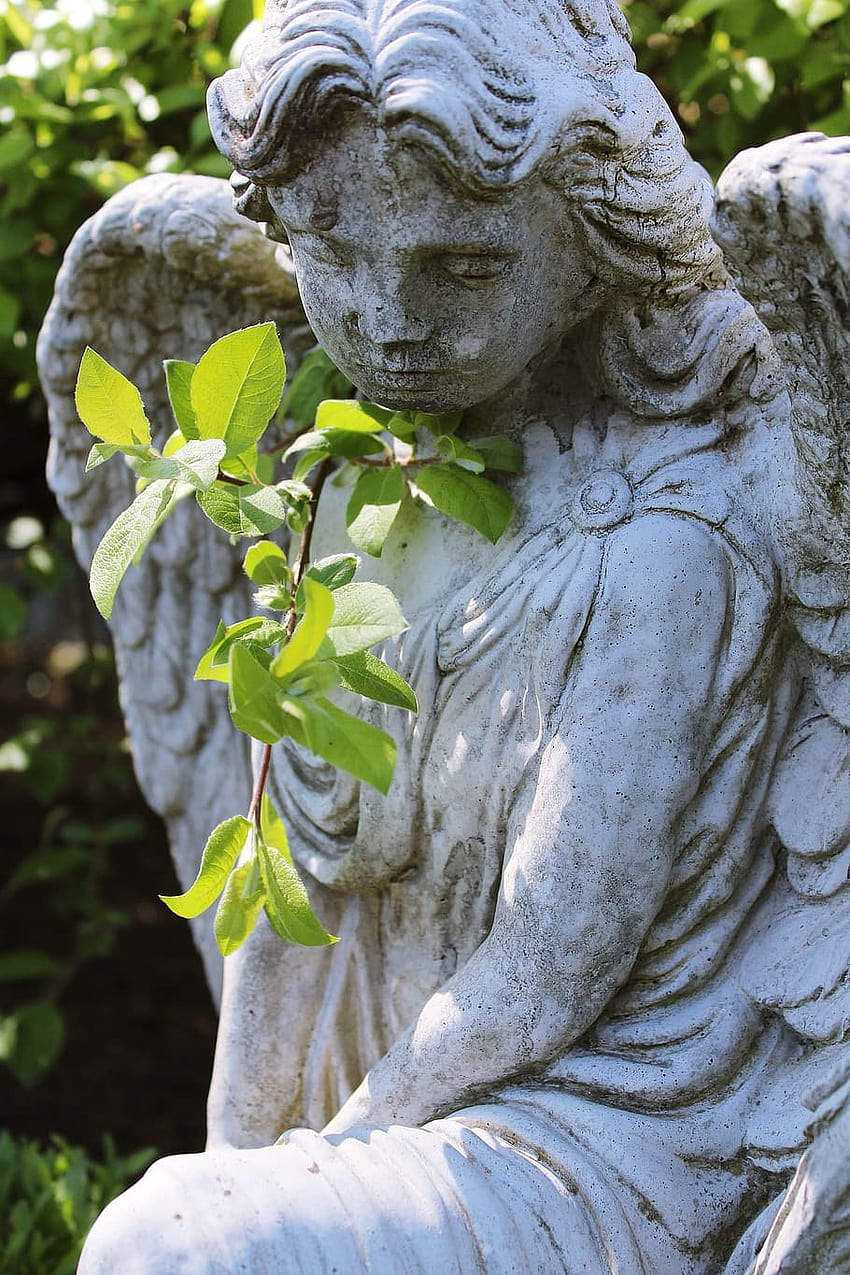 : Ange, Statue, Nature, Cimetière, Tombe, ange au repos Fond d'écran de téléphone HD