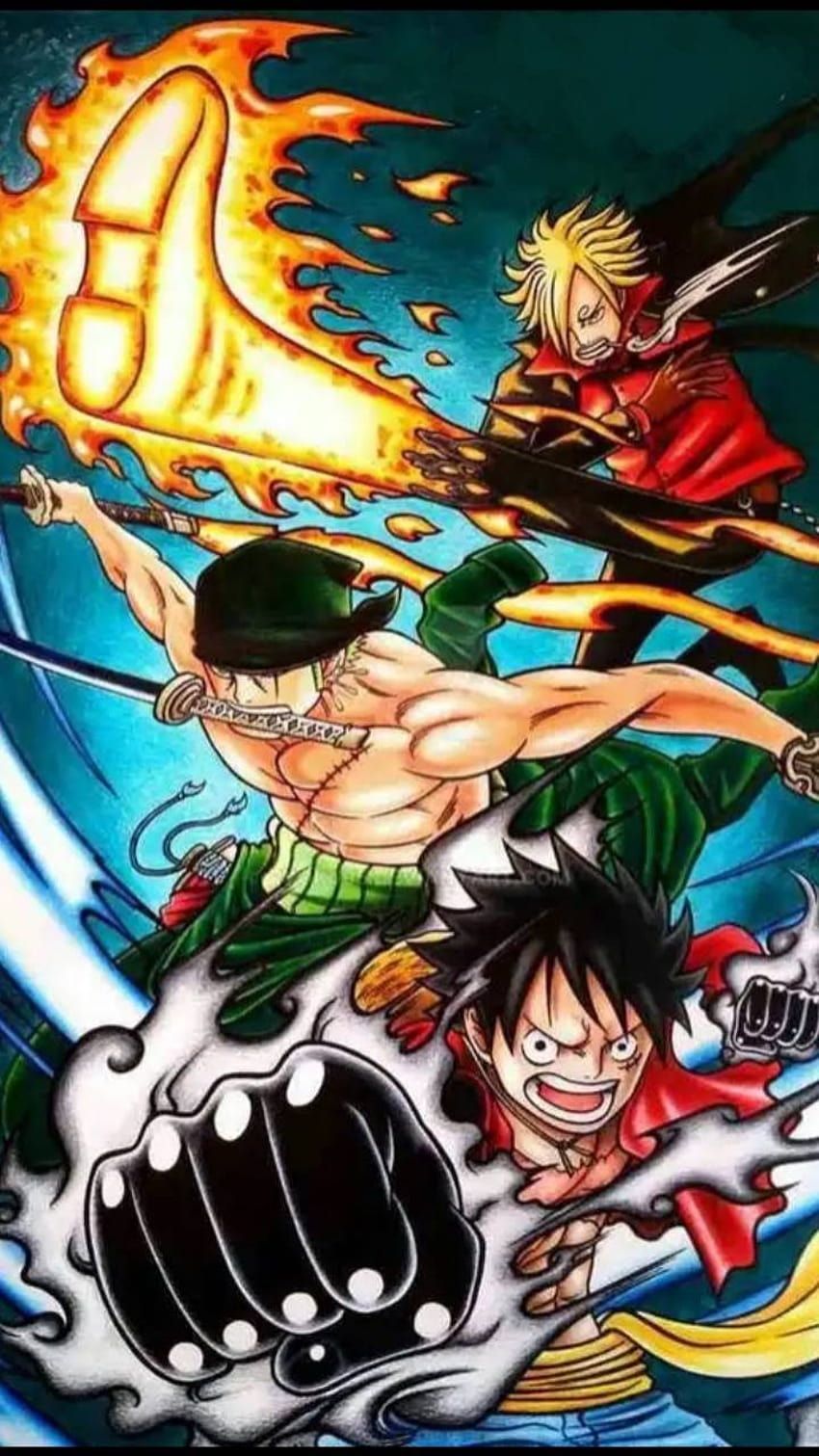 Anime : One Piece Luffy Zoro Sanji HD phone wallpaper