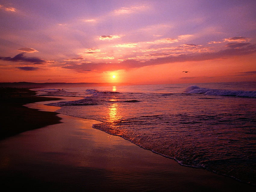 Watch the sunrise from a Southern California Beach. http://www, sunrise over california HD wallpaper