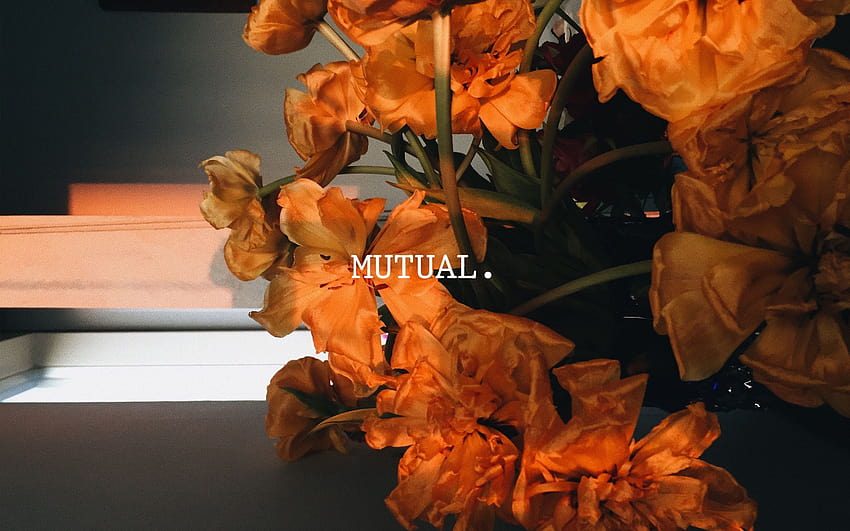 Mutual, fall aesthetic macbook HD wallpaper | Pxfuel