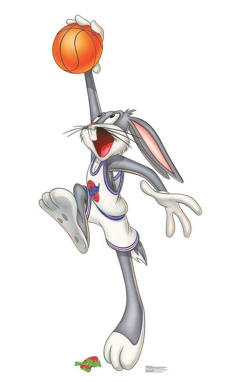 Looney Tunes Basketball on Dog HD phone wallpaper