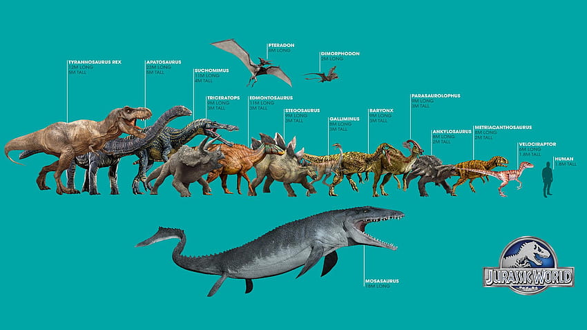 Velociraptor Dunia Jurassic, velociraptor biru Wallpaper HD