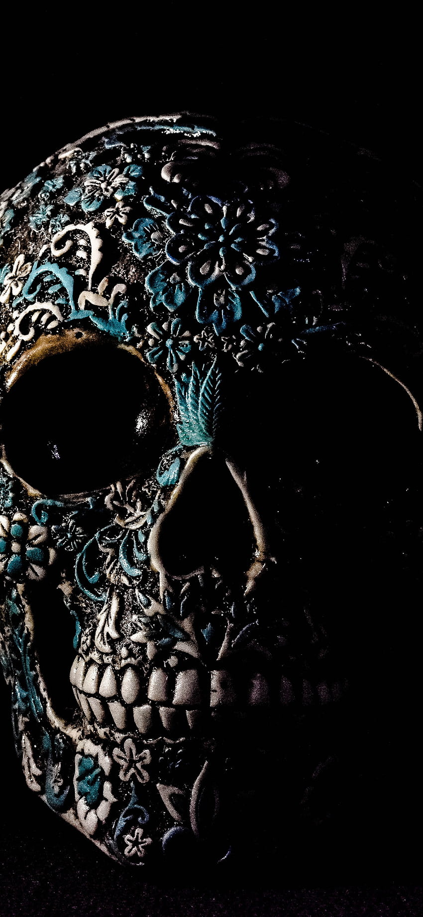 Crâne, Humain, Squelette, Fond noir, Art, Graphismes CGI, skeleton skull Fond d'écran de téléphone HD