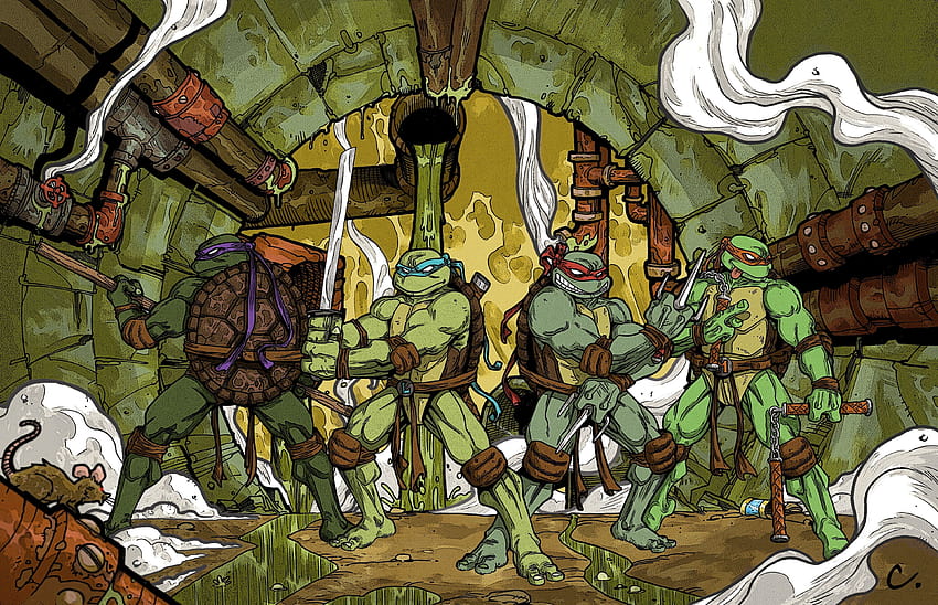 Brown and green floral table lamp, Teenage Mutant Ninja Turtles, raphael ninja turtle HD wallpaper