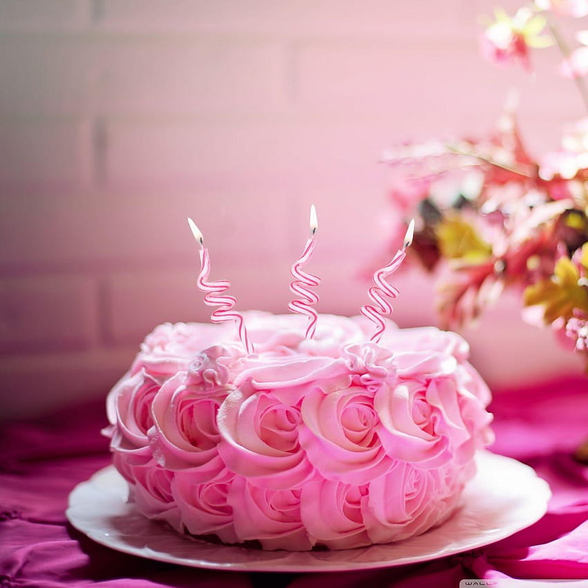 Pink Birtay Cake ❤ for Ultra TV, cute cake for android HD phone wallpaper