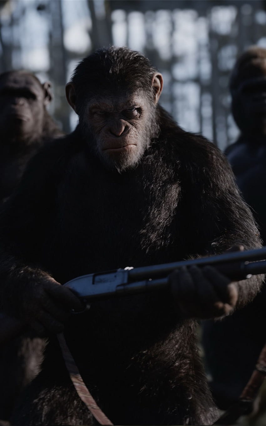 Movie of the Week: War for the Planet of the Apes, great ape HD phone wallpaper