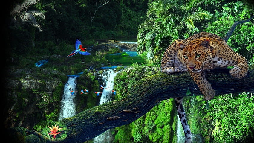 Amazon RainForest, jungle animals HD wallpaper