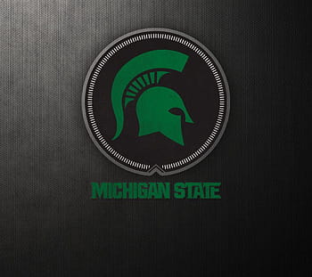 50 Michigan State Spartans Football Wallpaper  WallpaperSafari